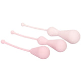 Inspire Weighted Silicone Kegel Training Kit